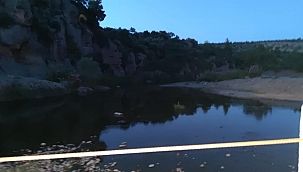 Koyunlarını yıkamak için girdiği gölette boğuldu