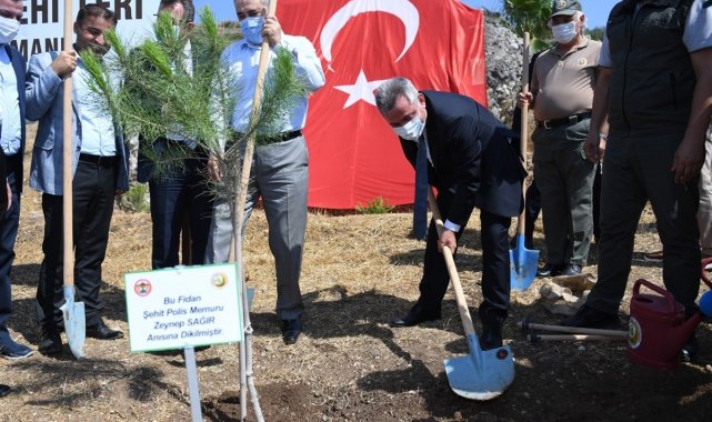 251 kahraman anısına 251 fidan dikildi