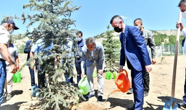 251 şehit anısına 251 ağaç toprakla buluştu