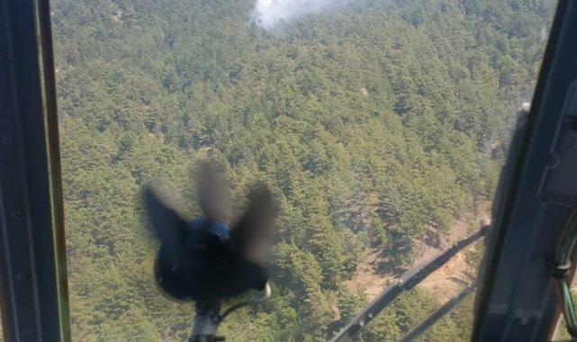 Adana'da ikinci orman yangını