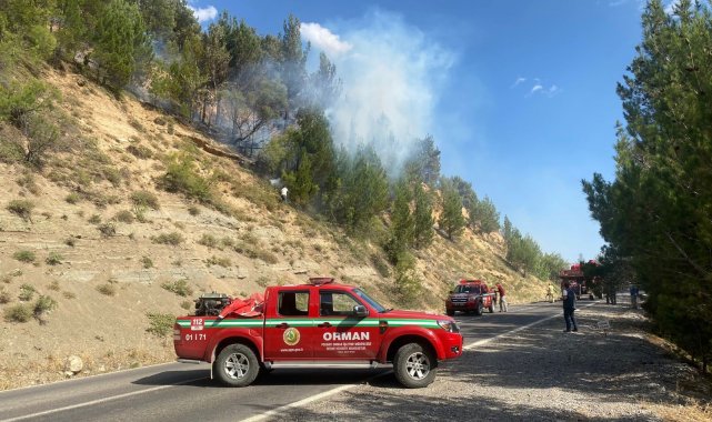 Adana'da orman yangını