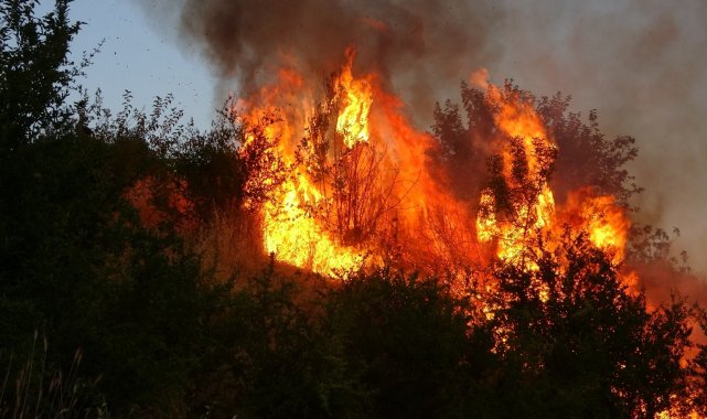 Adıyaman'da korkutan bahçe yangını