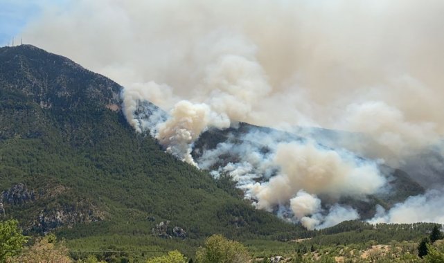 Akseki'de orman yangını devam ediyor