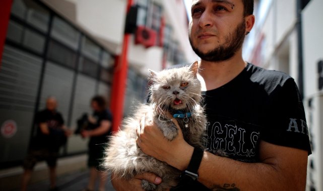 Anne ve 3 yavru kedi yangından böyle kurtarıldı