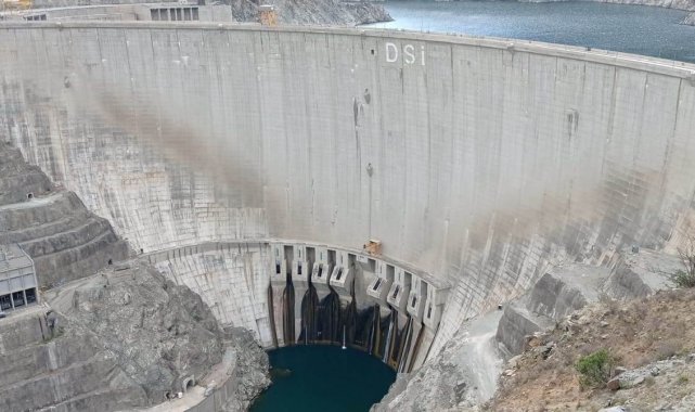 Artvin'de baraj setine tırmanan keçiler, görenleri şaşkına çeviriyor