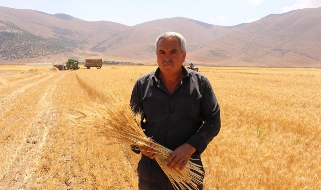 Ata tohumlarının hasadı yapıldı