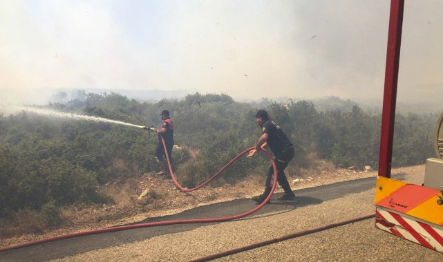Aydın Büyükşehir Belediyesi gün boyu yangınlarla mücadele etti