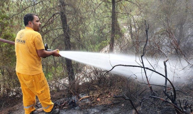 Bakan Pakdemirli: &quot;Osmaniye&#039;deki yangın kontrol altına alındı&quot;