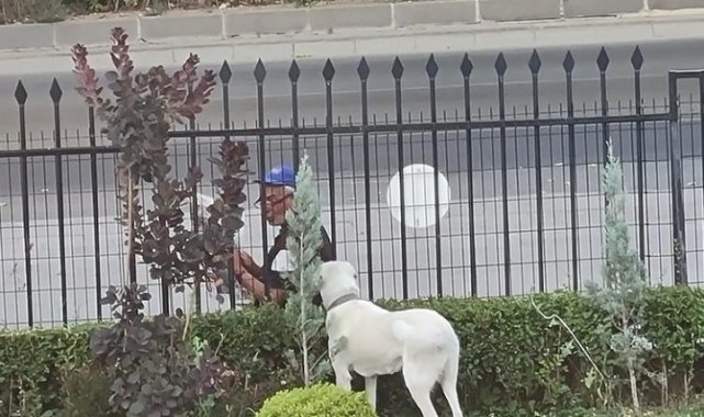 Bakan Selçuk sosyal medya hesabında köpeğe gazete okuyan vatandaşı paylaştı