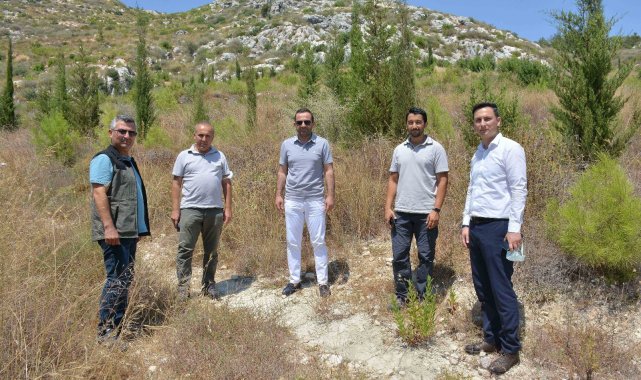 Başkan Güngör: "Tarihi kervan yolunda son aşamaya geldik"