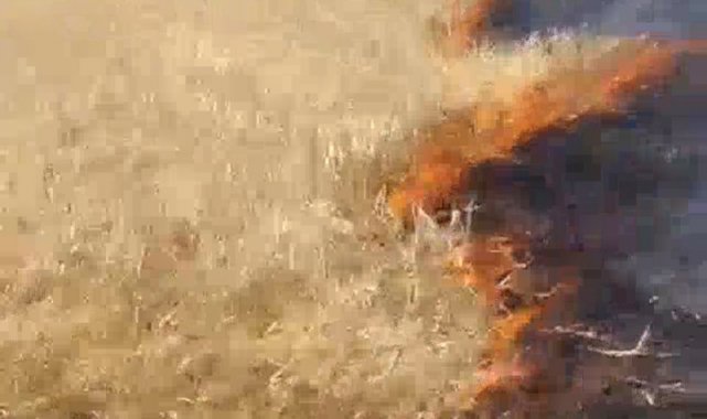 Başkan Sayan'a ait tarım arazisinde yangın çıktı