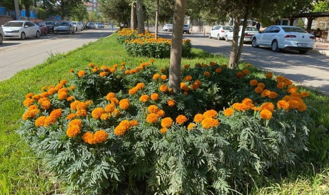 Başkan Türkmen: &quot;Daha yeşil, bir Bismil için çalışıyoruz&quot;