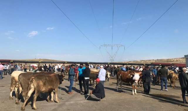 Bayburt&#039;ta kurban pazarında haraketlilik arttı