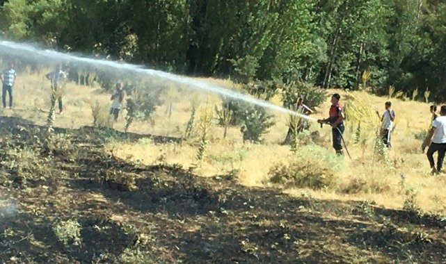 Bingöl'de korkutan yangın: Alevler tarlalara ulaşmadan söndürüldü