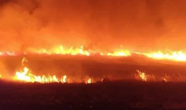 Bingöl&#039;de tüp patladı: 2 kişi yaralandı, 2 ev kullanılamaz hale geldi