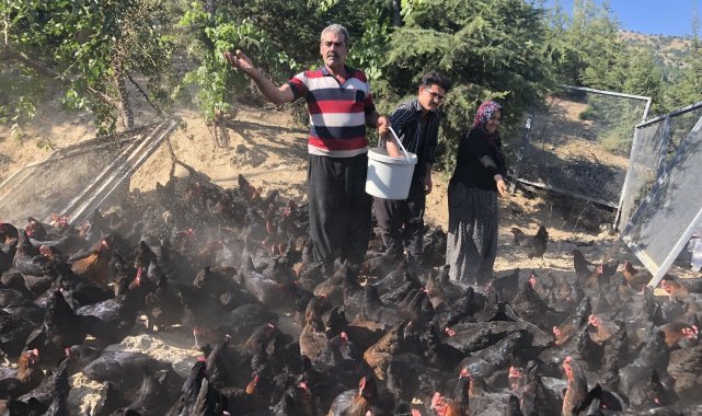 Binlerce tavuk gençlerin geleceği oldu