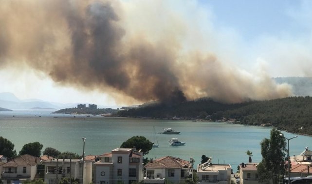 Bodrum&#039;daki yangın otellere yaklaştı, müşteriler tahliye ediliyor