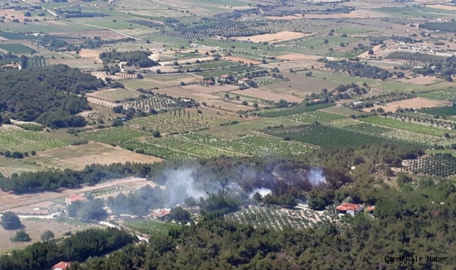 Bozcaada’da çamlık yangını meydana geldi