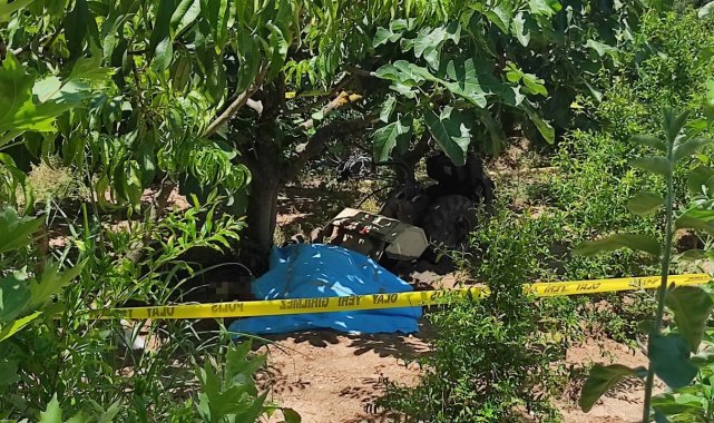 Bursa'da çapa motoru ve ağacın arasında sıkışan şahıs hayatını kaybetti