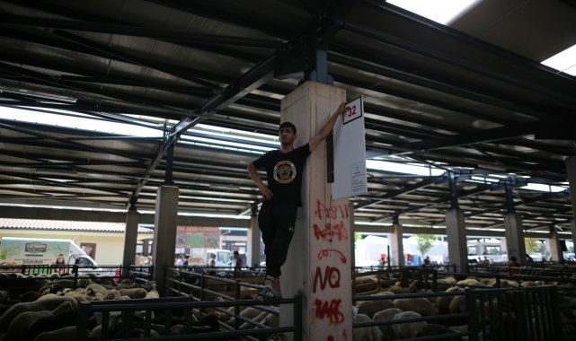 Bursa'da hayvan pazarlarında beklenen hareketlilik yaşanmadı