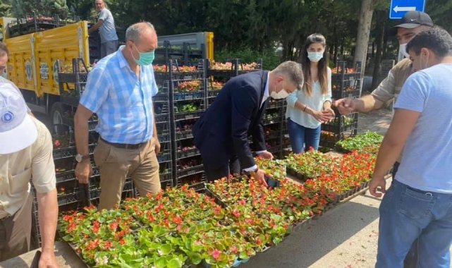 Bursa'da mezarlık ziyaretçilerine ücretsiz çiçek