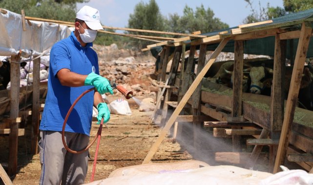 Büyükşehir bayrama hazır