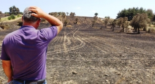Çanakkale'de ormanlara girişler yasaklandı