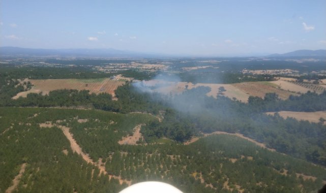 Çanakkale'de orman yangını