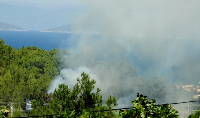 Çeşme&#039;de bir gün arayla çıkan iki yangın kısa sürede söndürüldü