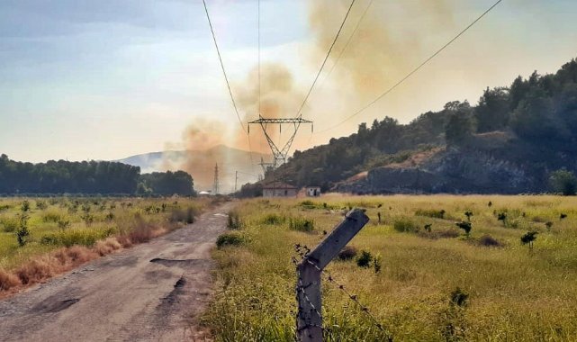 Dalaman&#039;da orman yangınını söndürme çalışmaları sürüyor