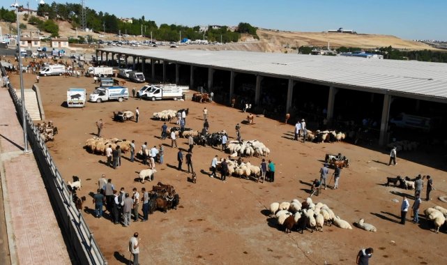 Diyarbakır Hayvan Borsasında beklenen hareketlilik yaşanmıyor