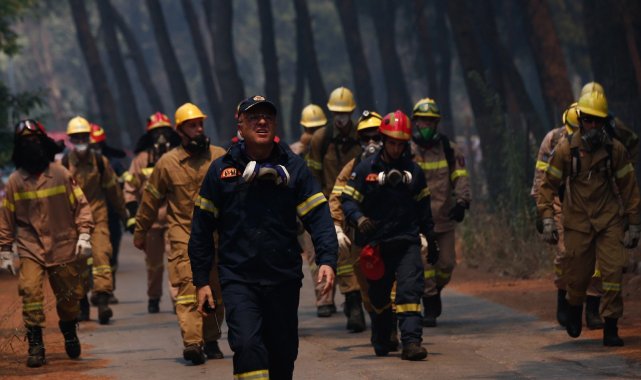 Dünyanın ciğerleri yanıyor: 40'tan fazla ülkede ormanlar alev alev