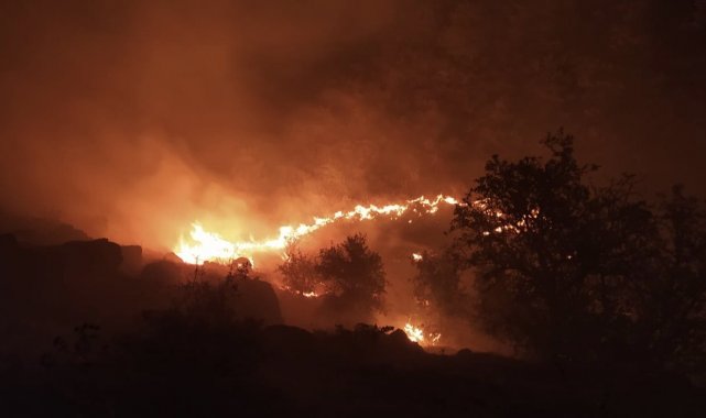 Elazığ&#039;daki örtü yangını söndürüldü