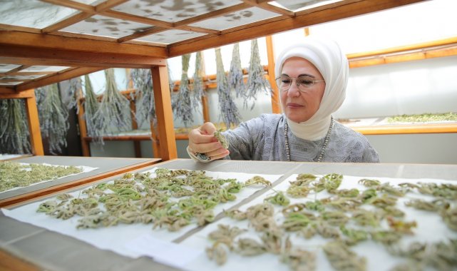 Emine Erdoğan, Zeytinburnu Tıbbi Bitkiler Bahçesi'ni ziyaret etti