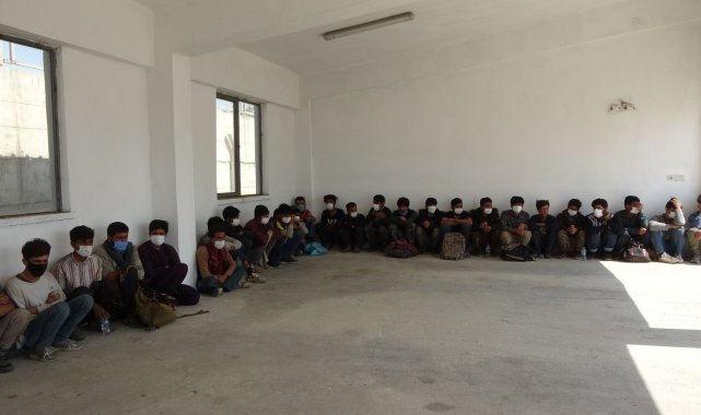 Erciş'te 73 düzensiz göçmen yakalandı