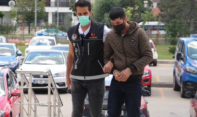 Evinde Hint keneviri yetiştiren şüpheli adliyeye sevk edildi