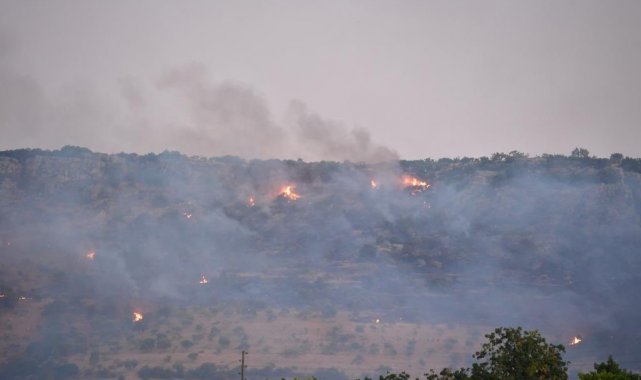 Gaziantep'te çıkan orman yangını kontrol altına alındı