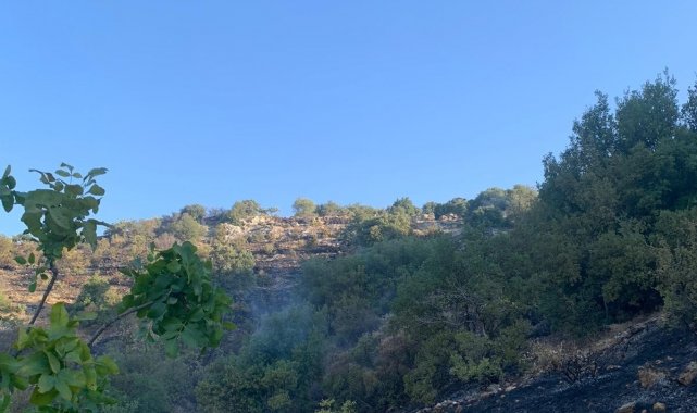 Gaziantep'te orman yangını korkuttu