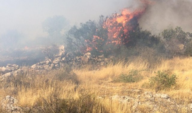 Gaziantep'te orman yangını
