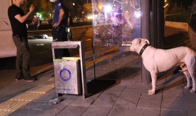 Gaziantep&#039;te sokak ortasında kanlı infaz: 1 ölü