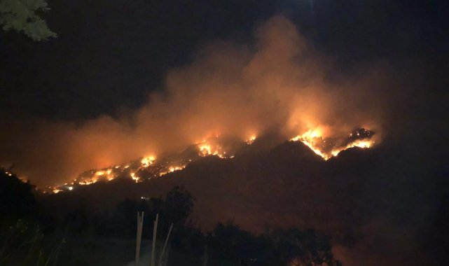 Gazipaşa&#039;da 3 farklı noktada orman yangını