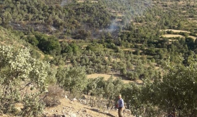 Gercüş&#039;te çıkan yangında 150 dönümlük alan kül oldu