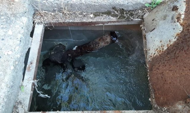 Günpınar Mahallesinde su sorunu