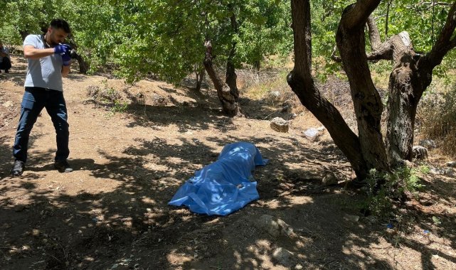 Hatay'da bahçesine kayısı toplamaya giden yaşlı adam ölü bulundu