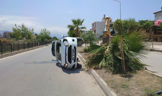 Hatay'da köpeğe çarpmamak için kaza yaptı