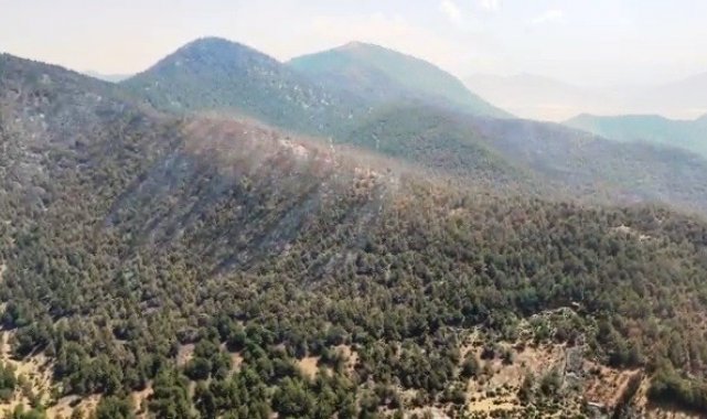 Hatay'da orman yangını üçüncü gün kontrol altına alındı
