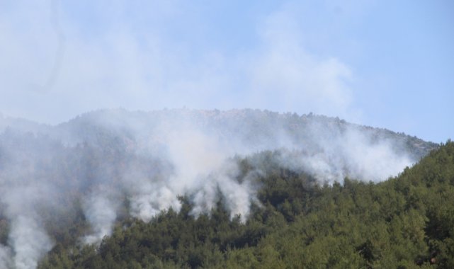 Hatay'da orman yangınına müdahale sürüyor