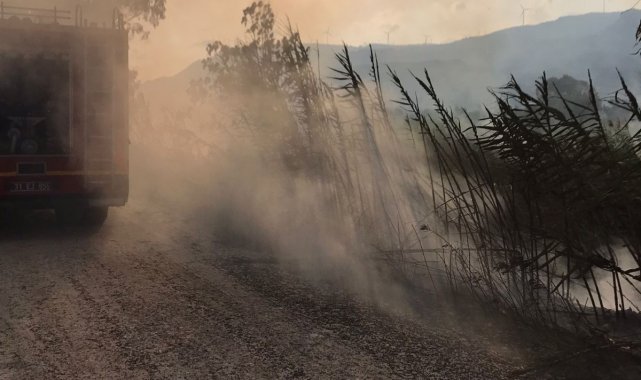 Hatay'da sazlık alandaki yangın kontrol altına alındı
