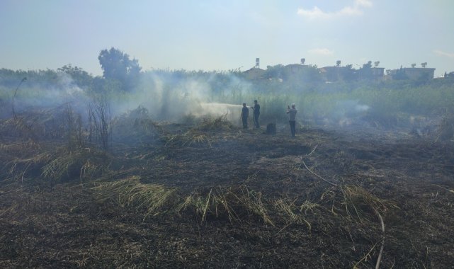 Hatay&#039;da sazlık yangını kontrol altına alındı