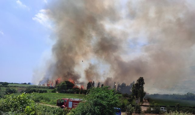 Hatay'da sazlık yangını